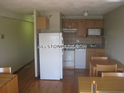 Allston Apartment for rent Studio 1 Bath Boston - $2,150