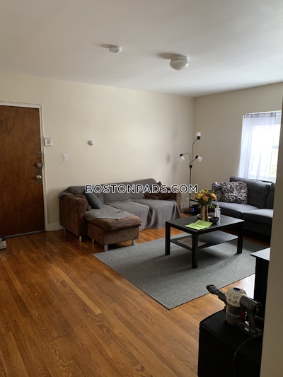 Brighton 2 Bed 1 Bath BOSTON Boston - $3,000 No Fee