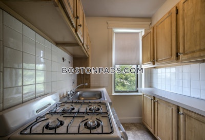 Allston Studio 1 Bath Boston - $2,000