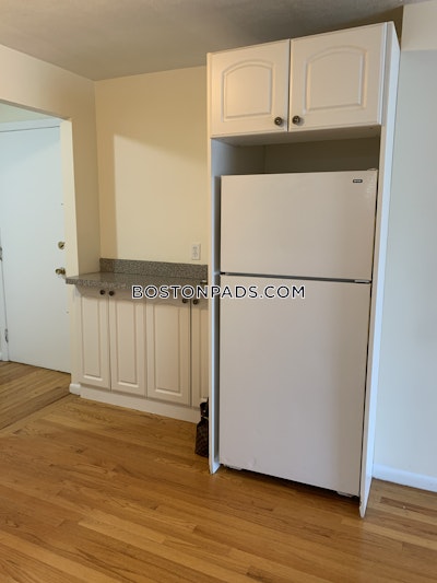 Allston 2 Bed 1 Bath BOSTON Boston - $2,500 No Fee