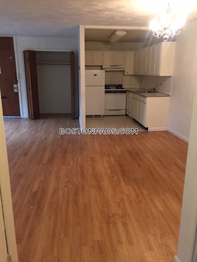 Allston/brighton Border Apartment for rent 1 Bedroom 1 Bath Boston - $2,425 50% Fee