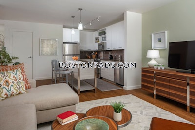 Downtown Apartment for rent 1 Bedroom 1 Bath Boston - $3,750