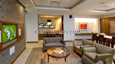 Downtown Apartment for rent 1 Bedroom 1 Bath Boston - $4,337