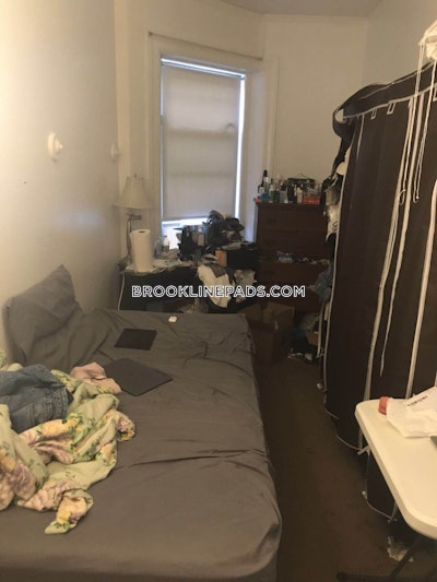 Brookline Studio 1 Bath  Boston University - $1,895 No Fee