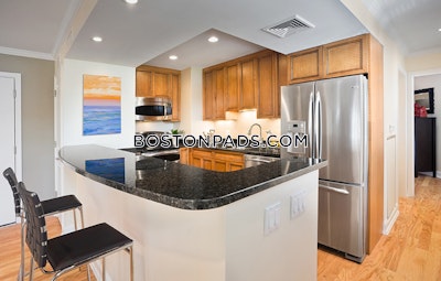 Brookline Apartment for rent Studio 2 Baths  Longwood Area - $2,825 No Fee