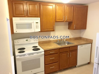 Allston Apartment for rent 1 Bedroom 1 Bath Boston - $2,400