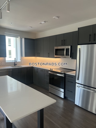 Cambridge Apartment for rent 3 Bedrooms 1 Bath  Mt. Auburn/brattle/ Fresh Pond - $6,085