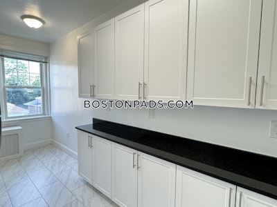 Brighton Apartment for rent 1 Bedroom 1 Bath Boston - $2,660 No Fee