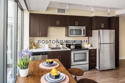 Downtown Apartment for rent Studio 1 Bath Boston - $3,375