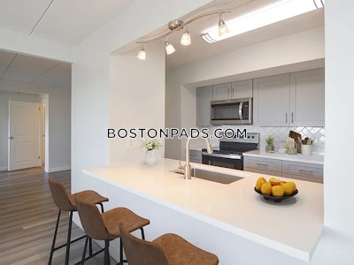 Brighton Apartment for rent 1 Bedroom 1 Bath Boston - $3,125