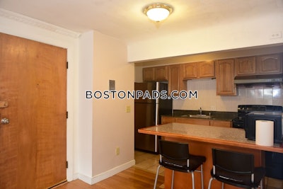 Brighton 2 Beds 1 Bath Boston - $2,500