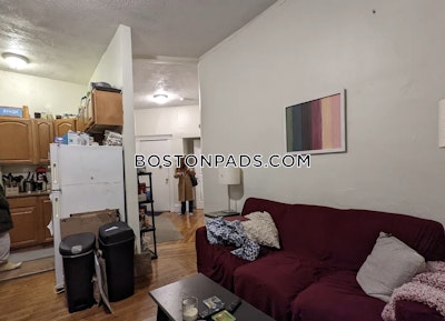 Northeastern/symphony Apartment for rent 3 Bedrooms 1 Bath Boston - $4,600